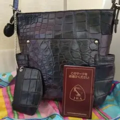 ☆最後の１万円値下げ☆希少カラー玉虫色♥️高級皮革JRAクロコダイルバック
