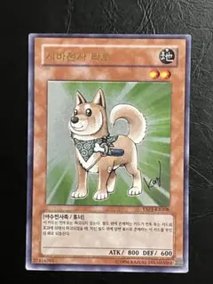 2025年最新】柴戦士タロの人気アイテム - メルカリ