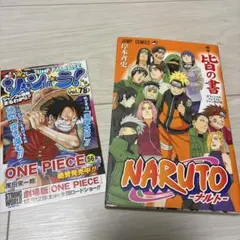 NARUTO皆の書10周年記念本初版・帯付きオフィシャルプレミアムファン