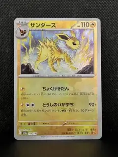 2025年最新】サンダース☆の人気アイテム - メルカリ