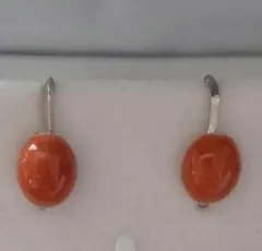 天然珊瑚　イヤリング　Silver