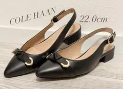 Item thumbnail for item 9457612d-f5d9-420c-a265-8c22055fcfe5