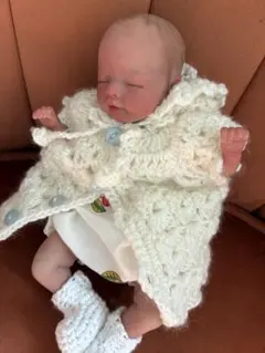 リボーンドール