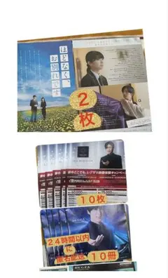 目黒蓮「ほどなくお別れです。」フライヤー2枚 レグザパンフレット　チラシ各１０枚