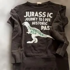 DILASH 恐竜プリント トレーナー 140