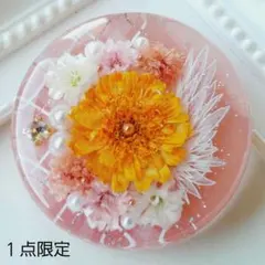 レジンヘアゴム ポニーフック ドライフラワー No.411 - メルカリ
