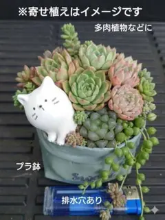 猫とsweet袋モチーフのプラ鉢 植木鉢 多肉植物 観葉植物のサムネイル
