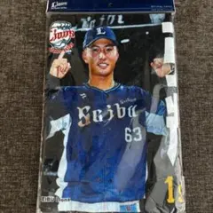 西武ライオンズ.長谷川信哉.ユニフォーム(75周年.Lサイズ). - メルカリ