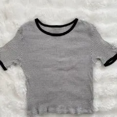 ストライプ 半袖Tシャツ