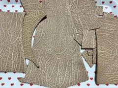 Item thumbnail for item 27328598-8624-4996-a4b9-2151c7b5895a