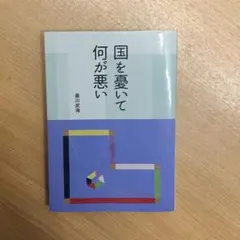 国を憂いて何が悪い 藤川武海