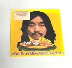 InDo/Pre YMO & Various Artists