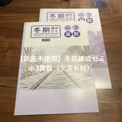 2026年最新】駿台冬期講習の人気アイテム - メルカリ