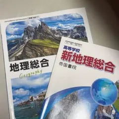 地理総合 教科書 新品 2冊セット
