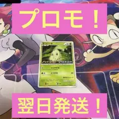 2026年最新】ポケモンカード チコリータ 222/XY-P プロモの人気
