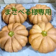 まさべる様専用かぼちゃ