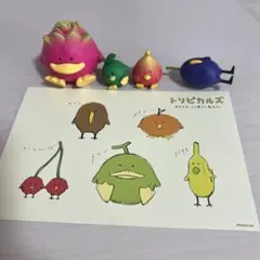 トロピカルズ