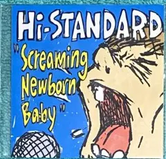 ハイスタ ミュージシャン