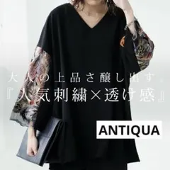 ANTIQUA アンティカ 袖チュール刺繍ブラウス Vネック ブラックのサムネイル