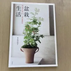 Item thumbnail for item 0720e432-7c2f-48a7-8b18-9c711fefecfb