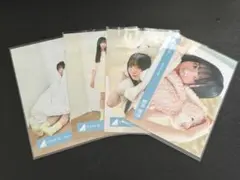 日向坂46 坂井新奈 五期生のぽかぽか写真館 4種コンプ3