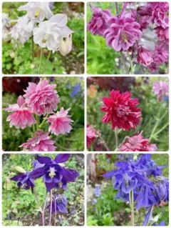 user_71c8b2d7様 リクエスト 5点 まとめ商品