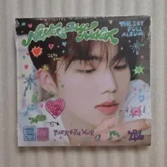 新品未開封 パクゴヌク NEVER SAY NEVER デジパ CD ゼベワン
