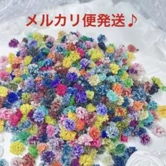 訳あり かすみ草 ドライフラワー 250粒以上 - メルカリ