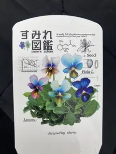 2025年最新】スミレの苗の人気アイテム - メルカリ