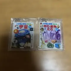 小学館の図鑑NEO アクリルキーホルダー