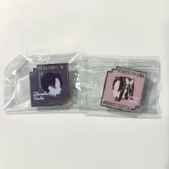 鬼滅の刃無限城　限定ピンズ　胡蝶しのぶ　胡蝶カナヲ（2点セット）