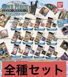 にふぉるめーしょん ワンピース大海賊シールウエハース ミニチュアチャー　全セット