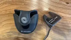 Item thumbnail for item 8a5568cc-783e-4596-86fe-181ed959383b