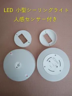 Item thumbnail for item 4379caa1-b56a-4e18-998a-490b70913d98