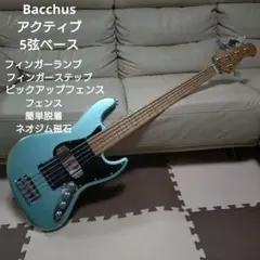 超美品】Bacchus WJB-500R ASH 上位アッシュモデル - メルカリ