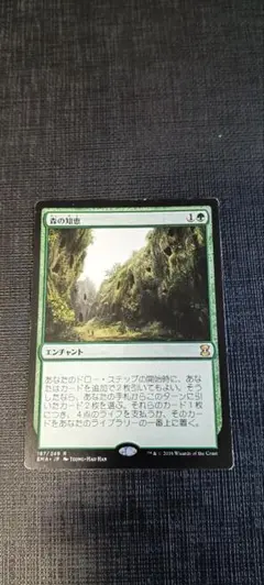 森の知恵　4版黒枠日本語版 2枚セット　プレイド 森の知恵 2枚 日本語 森の知恵 4版黒枠日本語版