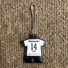 新品 浦和レッズ 2019  ACL レプリカ ユニフォーム 汰木康也 浦和レッズ 2019 ACL レプリカ ユニフォーム Lサイズ 汰木康也