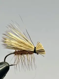 Item thumbnail for item 81435856-4d37-4dcd-b23c-b9637a7b3c2d