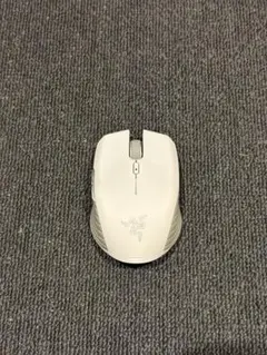 Item thumbnail for item ce3f35c5-dc9d-4e29-8f45-d0f2d012c59b