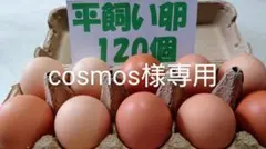 Item thumbnail for item 98c5eb78-923f-4ab4-969a-573e55f37736