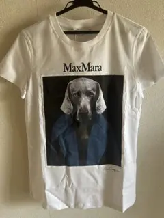 Max Mara❤︎CIPRIA プリントTシャツ❤︎犬 XS - メルカリ