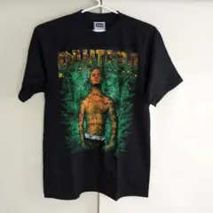 PANTERA Tシャツ ボロ カットオフ vintage - メルカリ