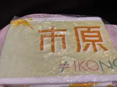 Item thumbnail for item 852e14e8-7288-41c2-a9fe-83e602fbb011