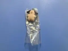 mojojojo　カラフルマルチチャーム　ガチャ