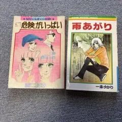一条ゆかり 漫画2冊セット 危険がいっぱい 雨あがり 付録