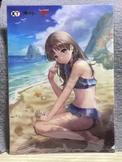 紅白 レスレリアーナのアトリエ ゲオ特典 クリアファイル トトリ