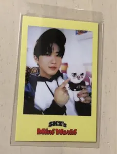 straykids チャンビン シーグリ ポラロイド JYP特典