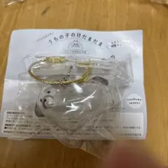 うちの子のけだまだま　限定アソート　ミックス(1個)