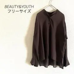 BEAUTY&YOUTH コットン長袖ブラウス　フリーサイズ　ブラウン　透け感