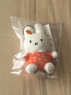 2025年最新】ミッフィー キーホルダー オランダの人気アイテム - メルカリ